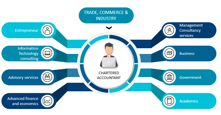 What Is a Chartered Accountant (CA) and What Do They Do?